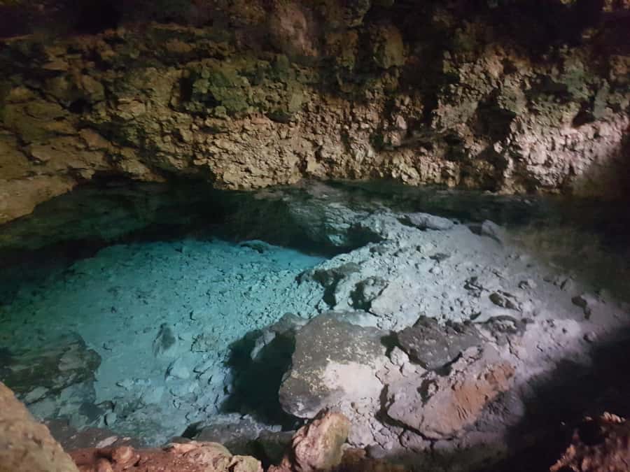 Zanzibar: Horseback Riding and Turtle Aquarium Visit - The Baraka Natural Aquarium: turtle feeding and swimming with rules