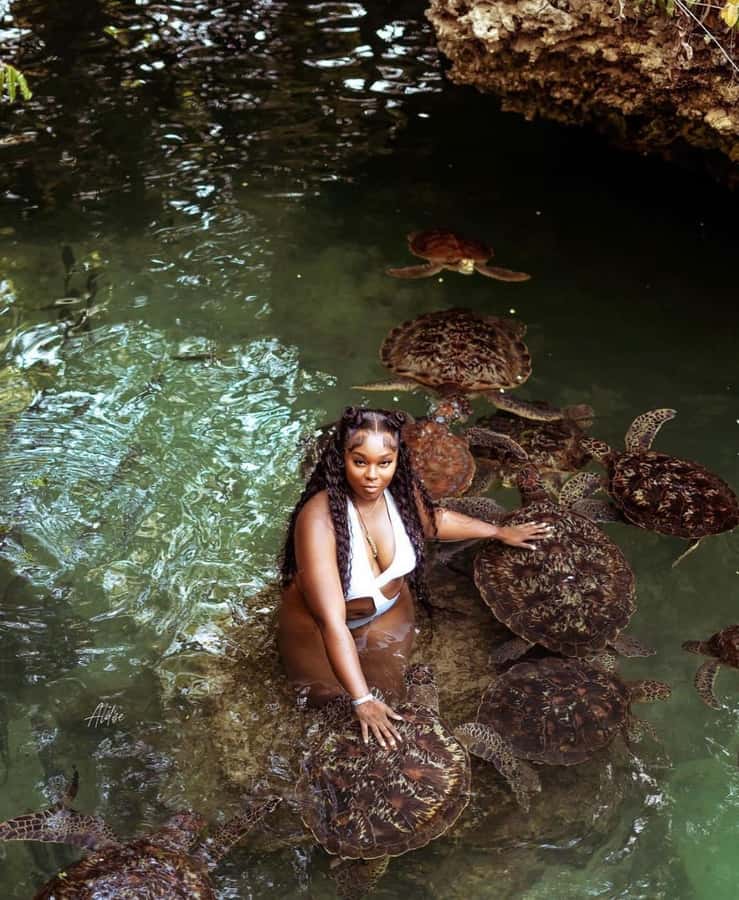 Zanzibar: Horseback Riding and Turtle Swimming Tour - The horse ride and ocean swim: why it feels special (and what to expect)