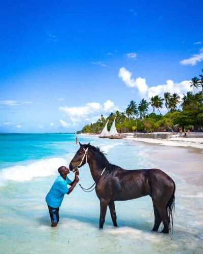 Zanzibar: Horseback Riding and Turtle Swimming Tour - Nungwi or Pwani Mchangani: the beach route and why pickup matters