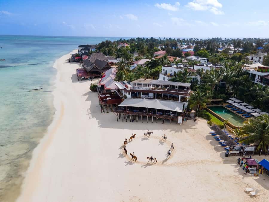 Zanzibar: Horseback Riding and Turtle Swimming Tour - What to pack (and what to skip) for a beach horse + turtle day