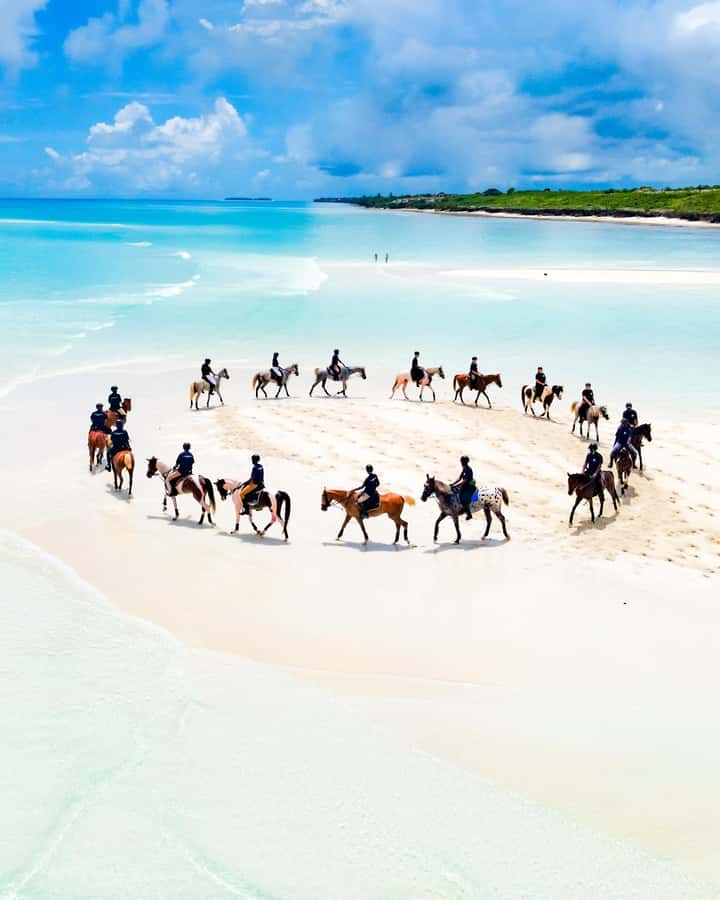Zanzibar: Horseback Riding and Turtle Swimming Tour - Price and value: what $195 covers, and when it feels expensive