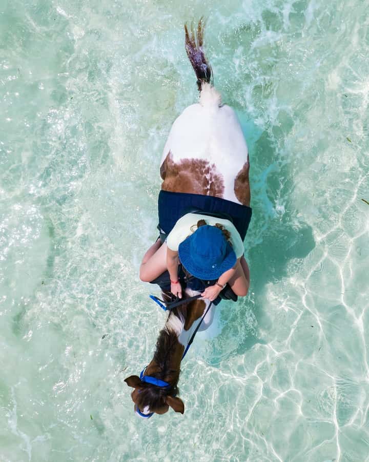 Zanzibar: Horseback Riding and Turtle Swimming Tour - Should you book this tour?
