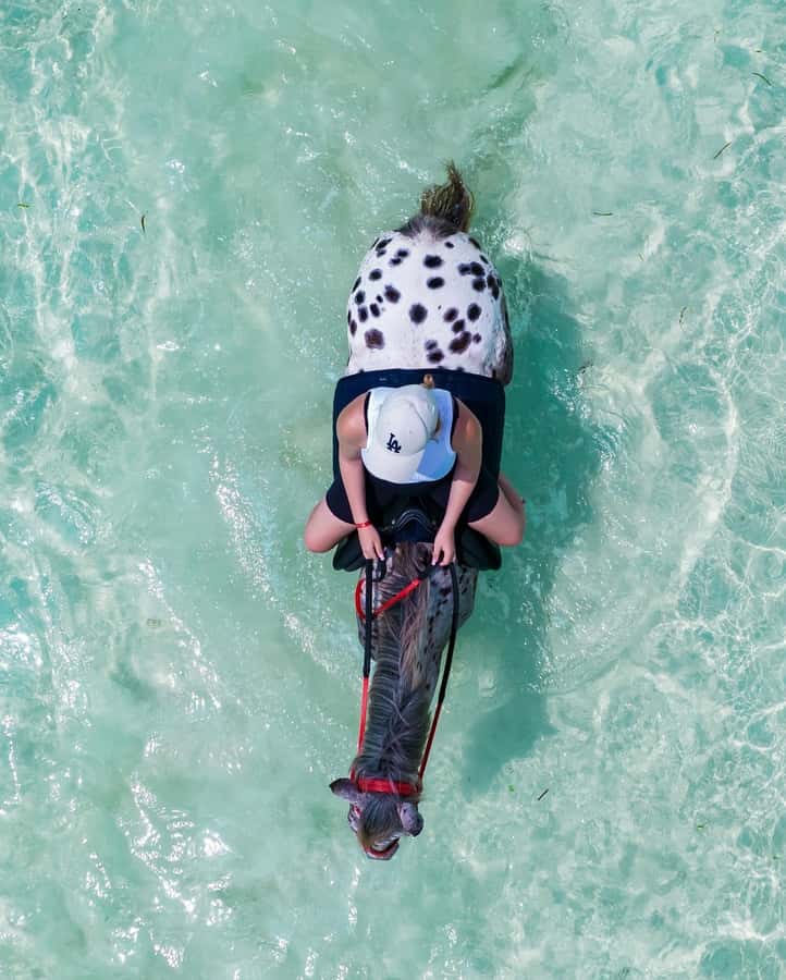 Zanzibar: Horseback Riding and Turtle Swimming Tour - FAQ