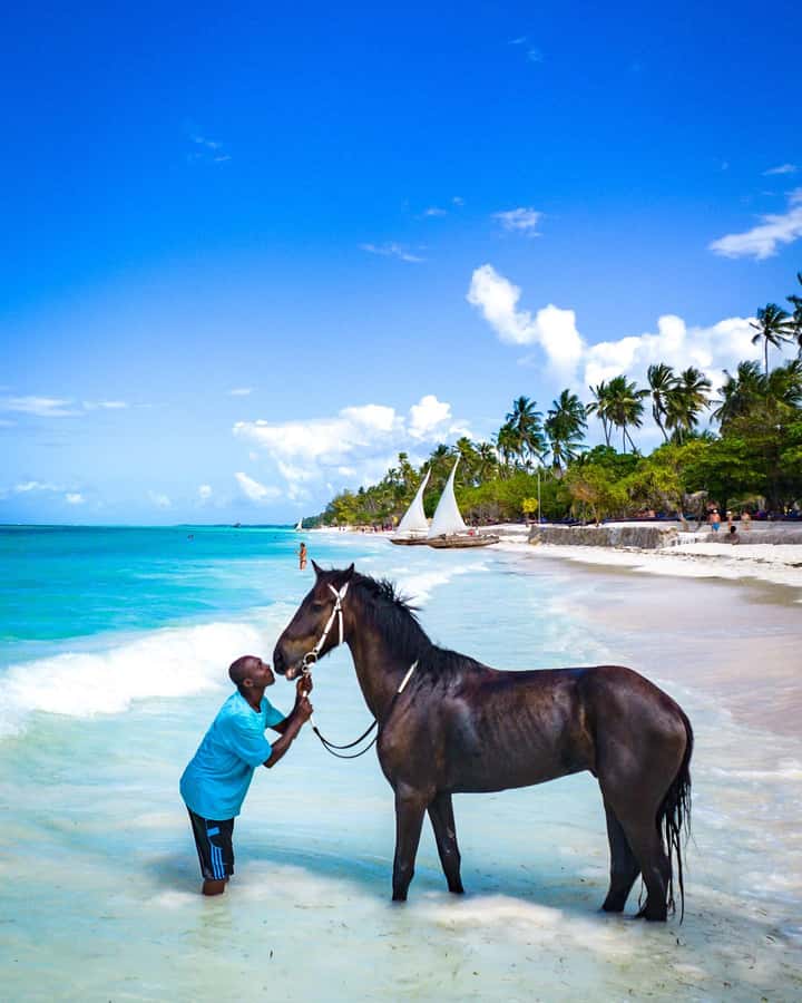 Zanzibar: Horseback Riding and Turtle Swimming Tour - Nungwi or Pwani Mchangani: the beach route and why pickup matters
