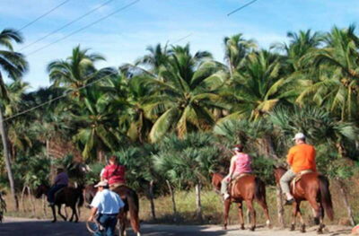 Zihuatanejo: Horseback Riding on the Beach - Getting to Playa Larga Ranch: pickup that keeps your day simple