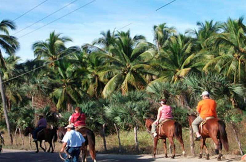 Zihuatanejo: Horseback Riding on the Beach - Getting to Playa Larga Ranch: pickup that keeps your day simple