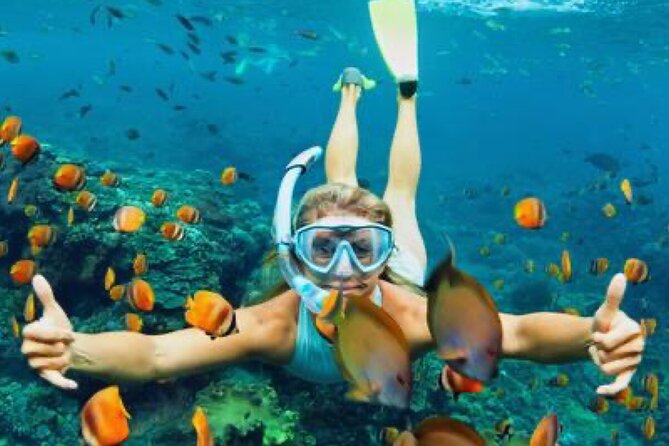 Zip-lining/Horseback Rides/Cat & Atv Inclusive Act with Transpo From Montego Bay - Lunch, downtime, and what to expect after the main activities