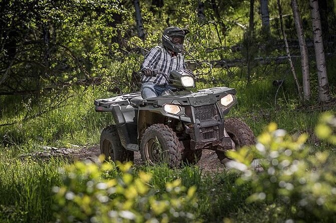 Zip-lining/Horseback Rides/Cat & Atv Inclusive Act with Transpo From Montego Bay - Getting to the start: pickup, timing, and how the day feels