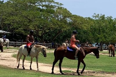 Zipline, Horseback Ride, ATV and Catamaran from Montego Bay - Montego Bay zipline: fast, scenic, and built for newcomers