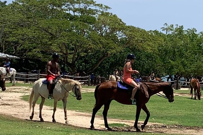 Zipline, Horseback Ride, ATV and Catamaran from Montego Bay - Montego Bay zipline: fast, scenic, and built for newcomers